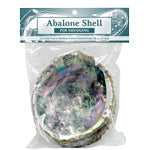 Abalone Shell - Natural Medium - Tricia's Gems