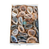 Natural Brazilian Agate geode with polished front and sparkling crystal interior on white background