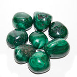 Malachite Tumbled Stone - Tricia's Gems