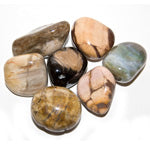 Petrified Wood Tumbled - Tricia's Gems