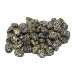TUMBLED STONE - DALMATIAN STONE - Tricia's Gems