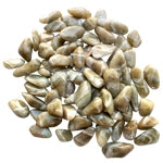 TUMBLED STONE - CHEVRON PRASIOLITE - Tricia's Gems
