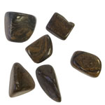 Stromatolite Tumbled - Tricia's Gems