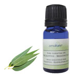 Zenature Eucalyptus essential oil 5 ml bottle at Tricia’s Gems