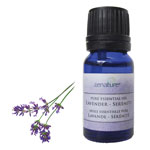 Zenature Lavender essential oil bottle available at Tricia’s Gems