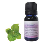 Zenature Patchouli essential oil bottle available at Tricia’s Gems