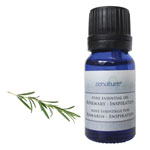 Zenature Rosemary essential oil 5 ml bottle at Tricia’s Gems